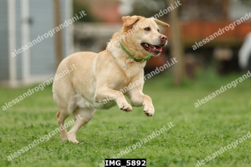 IMG_5892.jpg