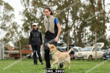 IMG_5903.jpg