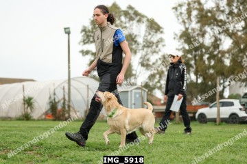 IMG_5918.jpg