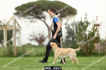 IMG_5937.jpg