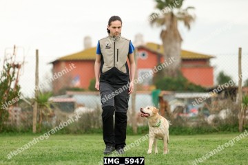 IMG_5947.jpg
