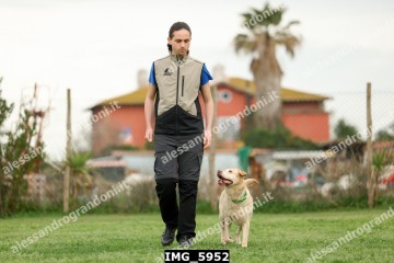 IMG_5952.jpg