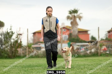 IMG_5958.jpg