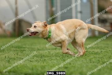 IMG_5989.jpg