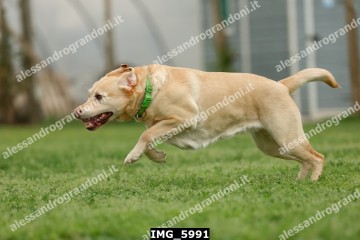 IMG_5991.jpg