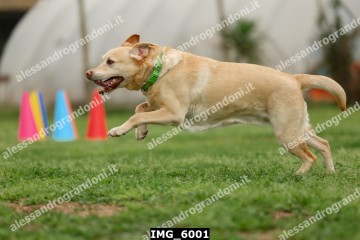 IMG_6001.jpg