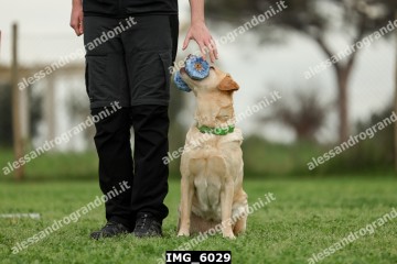 IMG_6029.jpg