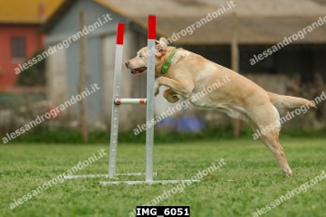 IMG_6051.jpg