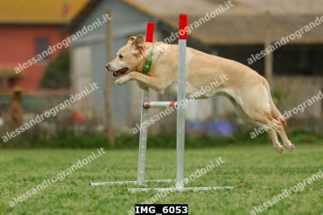 IMG_6053.jpg