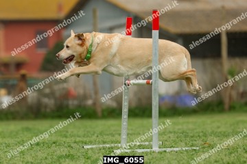 IMG_6055.jpg