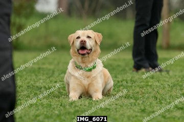 IMG_6071.jpg