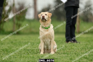 IMG_6076.jpg