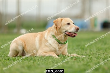 IMG_6081.jpg