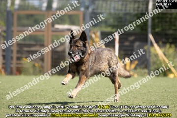 IMG_0174.jpg