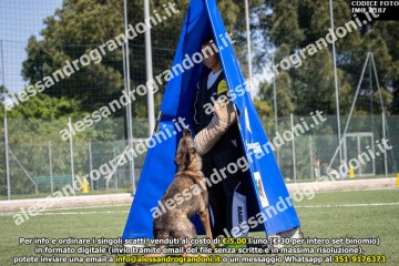 IMG_0187.jpg