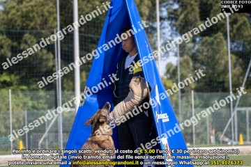 IMG_0193.jpg