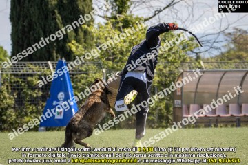 IMG_0203.jpg