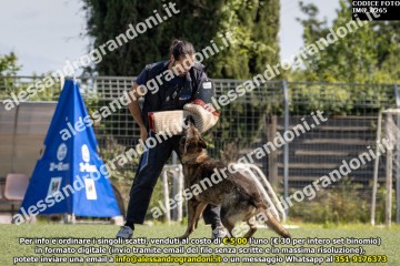 IMG_0265.jpg