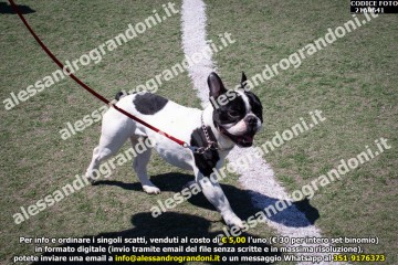 _21A9641.jpg