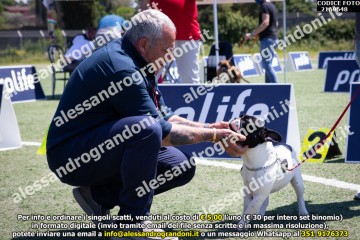 _21A9648.jpg