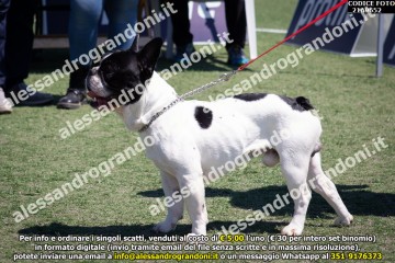 _21A9652.jpg