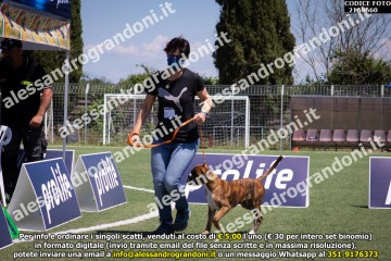 _21A9660.jpg