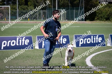 _21A9680.jpg