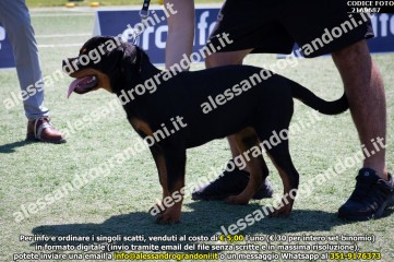 _21A9687.jpg