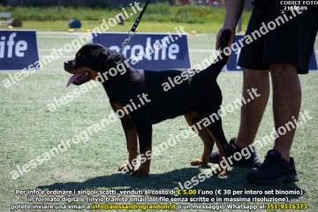 _21A9689.jpg