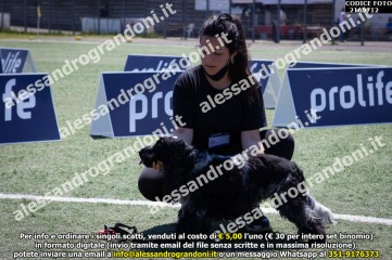 _21A9712.jpg