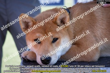 _21A9736.jpg