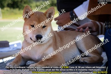 _21A9738.jpg