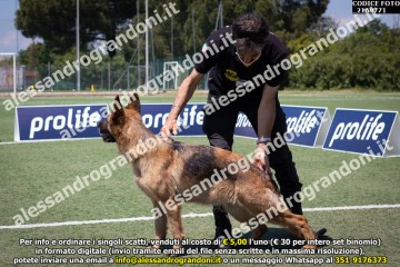_21A9771.jpg