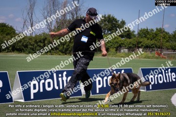 _21A9790.jpg