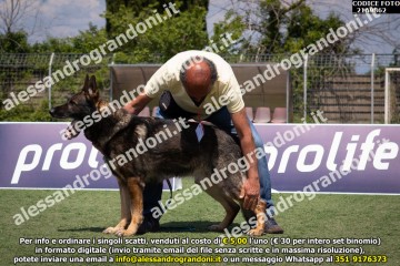 _21A9862.jpg