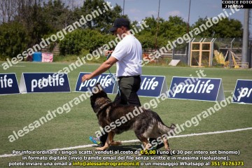 _21A9869.jpg