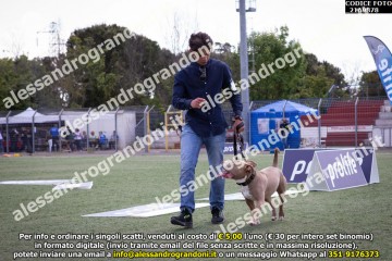 _21A9878.jpg