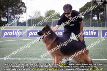 _21A9890.jpg