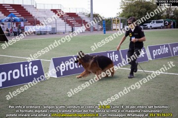 _21A9893.jpg