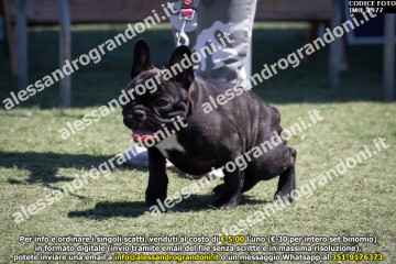 IMG_1977.jpg