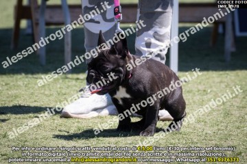 IMG_1978.jpg