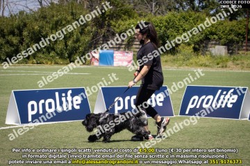 IMG_2026.jpg