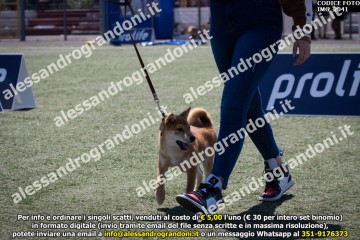 IMG_2041.jpg