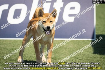 IMG_2043.jpg
