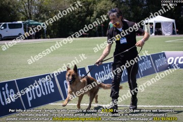 IMG_2055.jpg