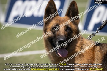 IMG_2061.jpg