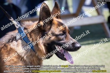 IMG_2065.jpg