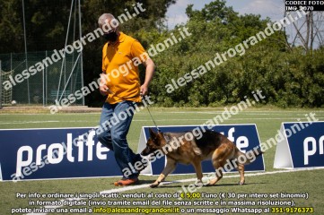 IMG_2070.jpg