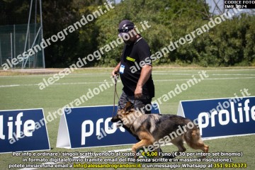 IMG_2074.jpg