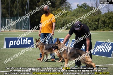 IMG_2080.jpg